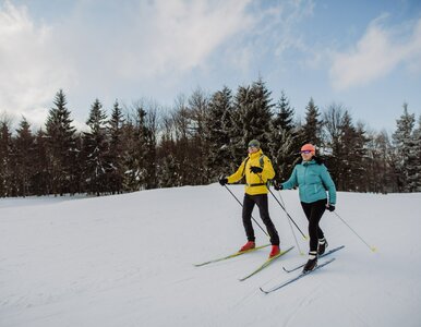 Miniatura: Narty biegowe pod Warszawą. Piękne miejsca...