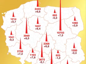 Miniatura: Gdzie żyją polscy milionerzy? Fiskus...