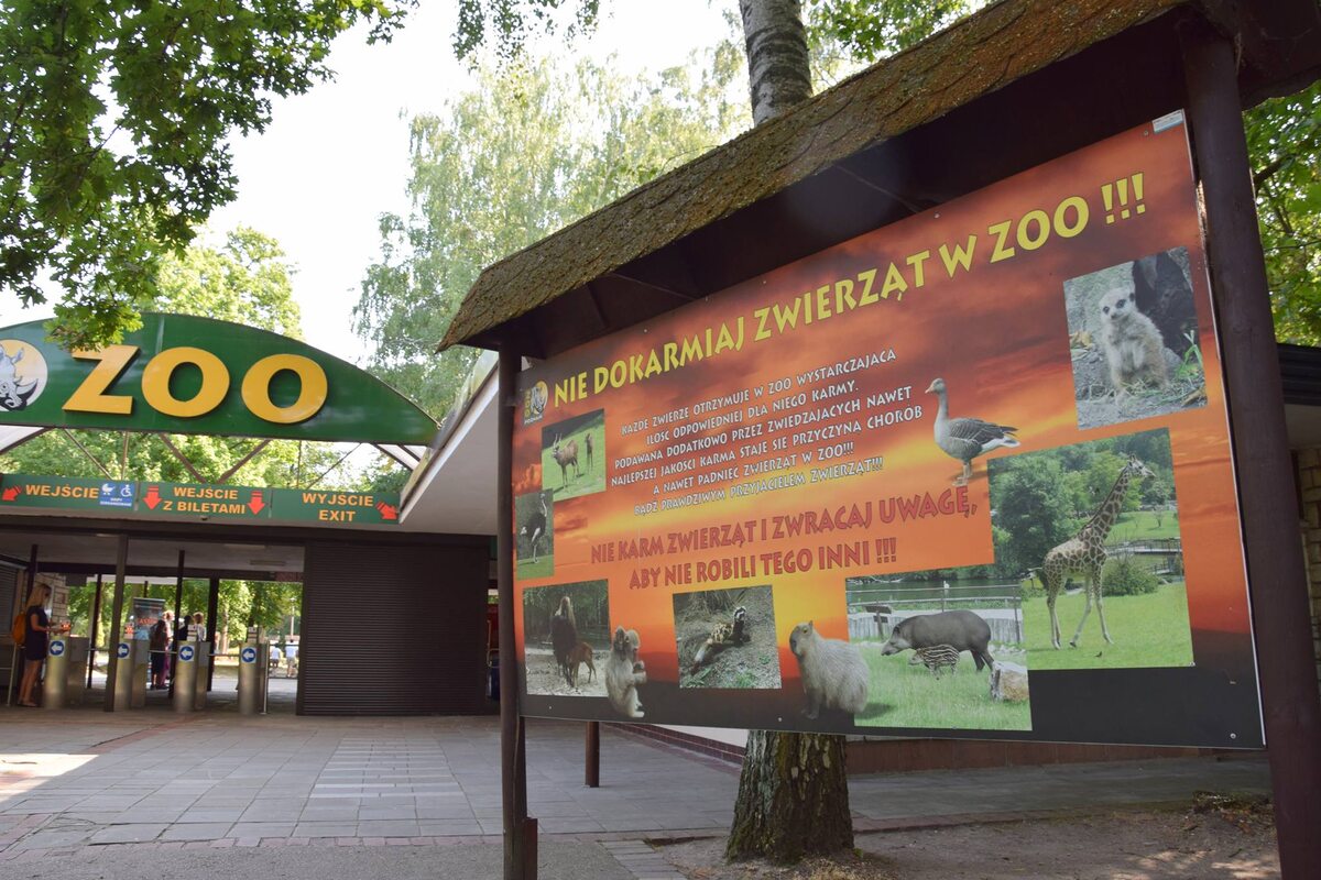 Liczne znaki i regulaminy przypominają gościom poznańskiego zoo o zakazie dokarmiania zwierząt 