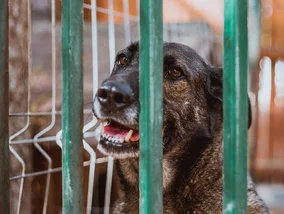 Miniatura: Mróz nie odpuszcza. MSWiA reaguje na...