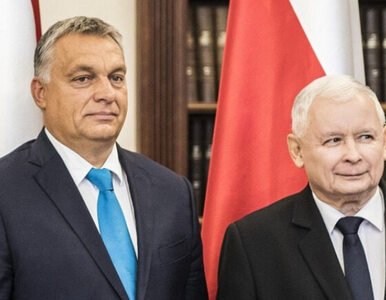 Polska i Węgry nie są już bratankami. Brytyjski dziennik wskazał powody
