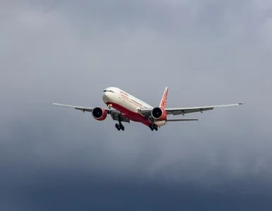 Miniatura: Incydent podczas lotu Air India do...