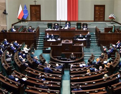 Miniatura: Sejm przyjął uchwałę popierającą rząd w...