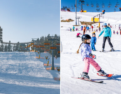 Miniatura: Polacy tłumnie wyjadą w sezonie zimowym....