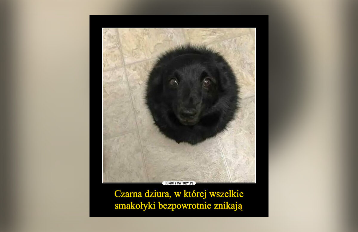 Memy z czarną dziurą 