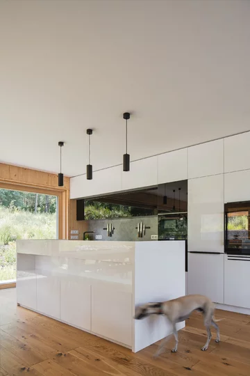 Dom nad jeziorem, projekt Lukáš Pejsar z 3AE 