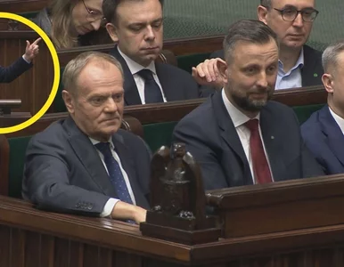 Miniatura: Czarnek życzył spokojnych świąt i się...