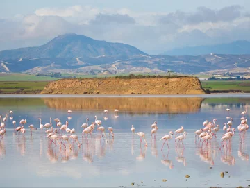 To słone jezioro z flamingami znajdziemy w: