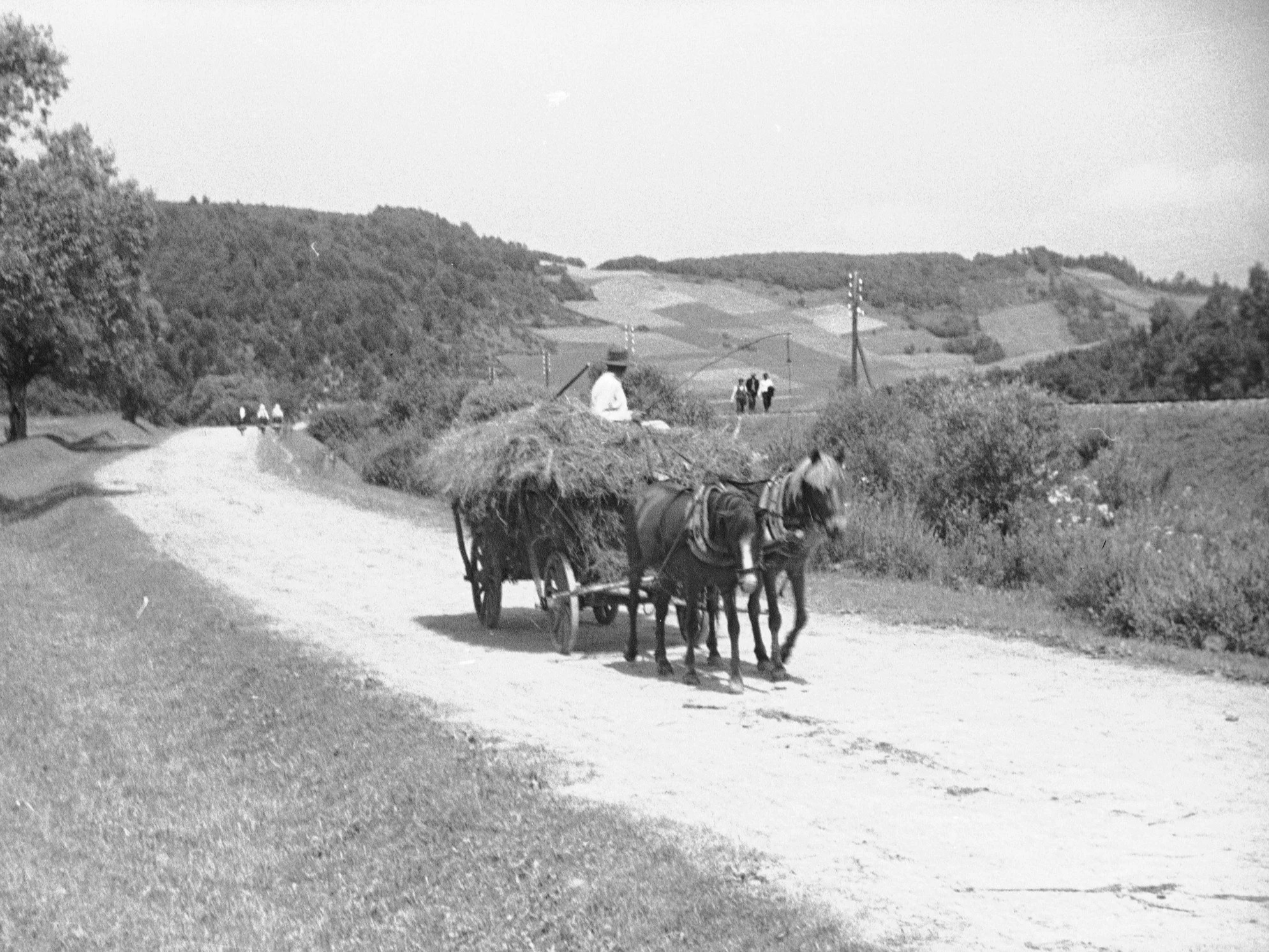 Ile wiesz o życiu na wsi? Spróbuj przebić 7/10