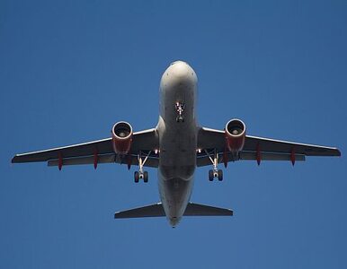 Miniatura: Strajki w Norwegian Airlines. Setki...