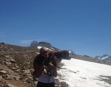 Miniatura: Znalazła w górach rannego psa. Zniosła go...