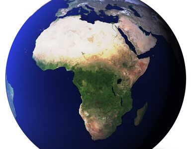 Miniatura: Afryka: siły rządowe zabiły 150 rebeliantów