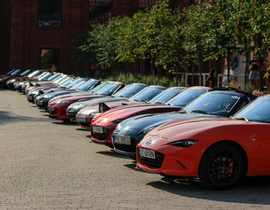 Miniatura: Będą upalać, a później imprezować. To nie...