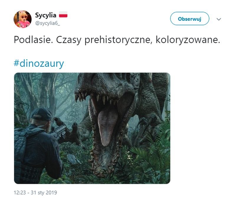 Ewa Kopacz i dinozaury. Internauci reagują 