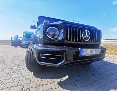 Miniatura: Brawurowa akcja: Polscy detektywi...