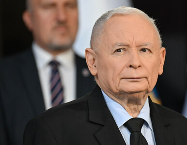 Miniatura: Taki może być plan na przyszłość TK....