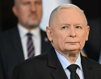 Miniatura: Taki może być plan na przyszłość TK....