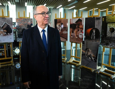 Miniatura: Ustawa łańcuchowa nie przejdzie. Sejm nie...