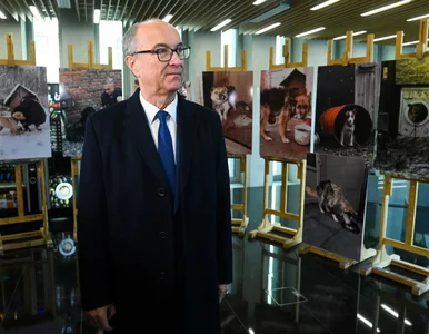 Miniatura: Ustawa łańcuchowa nie przejdzie. Sejm nie...