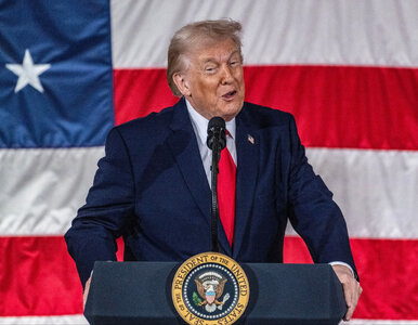 Miniatura: Polska jest za mało stanowcza wobec USA?...