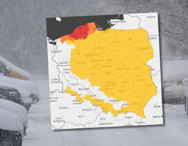 Miniatura: „Szykuje się kolejny efekt jeziora”....