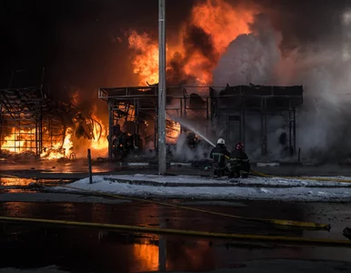 Miniatura: „Dzienniki wojenne”. Olga z Łucka:...