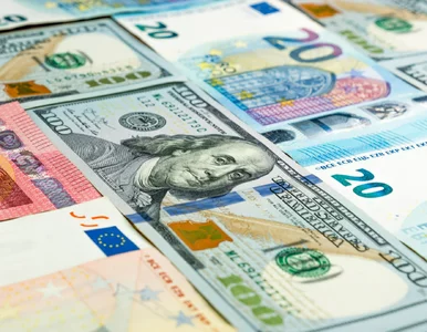 Miniatura: Polska waluta odrabia straty. Frank i euro...