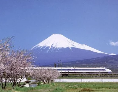 Miniatura: Superszybki pociąg zatrzymany przez... węża
