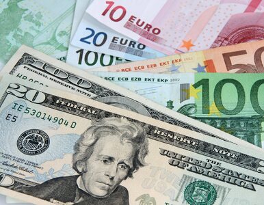 Miniatura: Dolar i Euro idą łeb w łeb. „Powinniśmy...