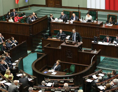 Miniatura: Raport: Sejm jest źle chroniony