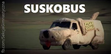 Marek Suski memy 