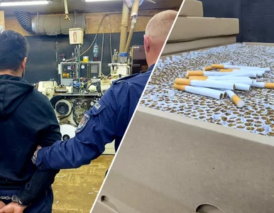 Miniatura: Śledczy zajrzeli do nielegalnej fabryki....