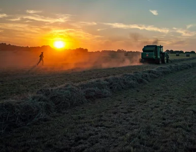 Miniatura: Coraz więcej rolników nie ma już zdolności...