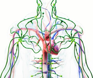 Ultra rzadka choroba &ndash; dziedziczna amyloidoza transtyretynowa (ATTR)