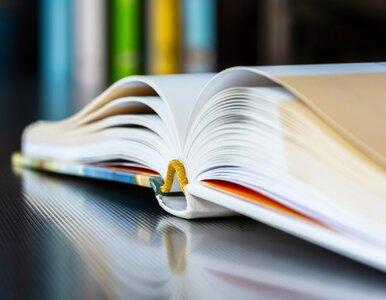 Miniatura: QUIZ z przysłów ze zwierzętami. Pobijesz...