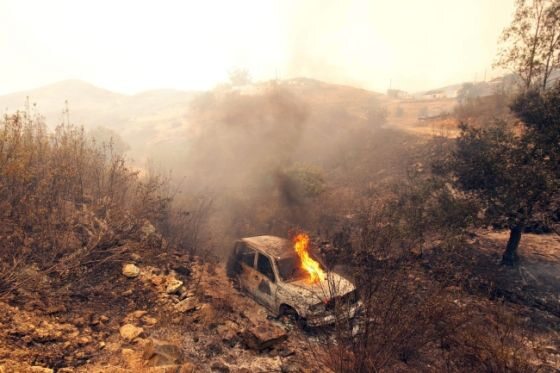 W Portugalii ogień trawi hektary lasów (fot. EPA/MELANIE MAPS/PAP)