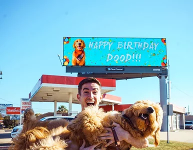 Miniatura: Chciał w wyjątkowy sposób uczcić urodziny...