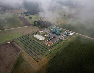 Miniatura: Ministerstwo odpowiada na protesty...