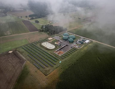 Miniatura: Ministerstwo odpowiada na protesty...