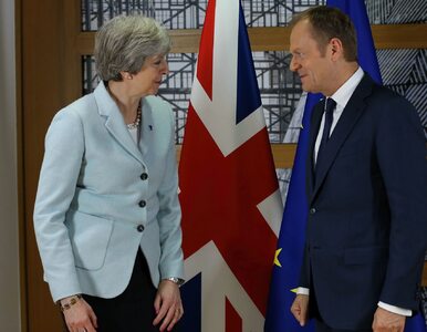 Miniatura: Theresa May prosi UE o kolejne odłożenie...