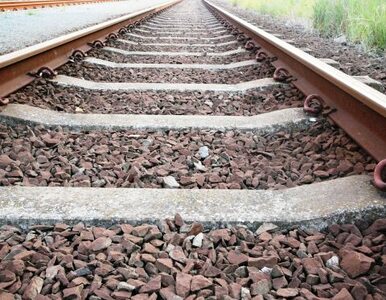 Miniatura: Zderzenie pociągów w RPA. Ponad 200 osób...