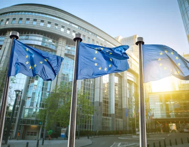 Miniatura: Polska i 6 innych krajów UE pisze list do...