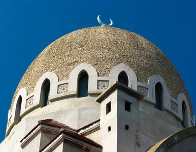 Miniatura: Francja: drzwi meczetu umazano kałem