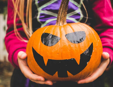 Miniatura: Znany ksiądz o Halloween. Zwrócił uwagę na...