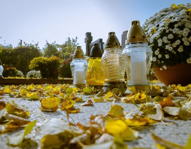 Miniatura: Wszystkich Świętych. Czy cmentarze zostaną...