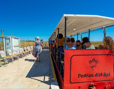 Miniatura: Zderzenie pociagów turystycznych w...