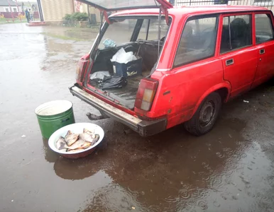 Miniatura: Dla większości „tylko peremoha”, innym...