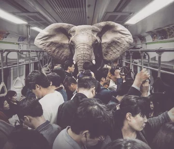 Surrealistyczny świat 