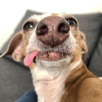 Miniatura: Fiorella podbija media społecznościowe....