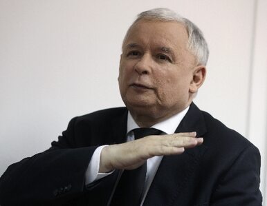 Miniatura: Kaczyński dla Reutera: my przeżyjemy rządy...